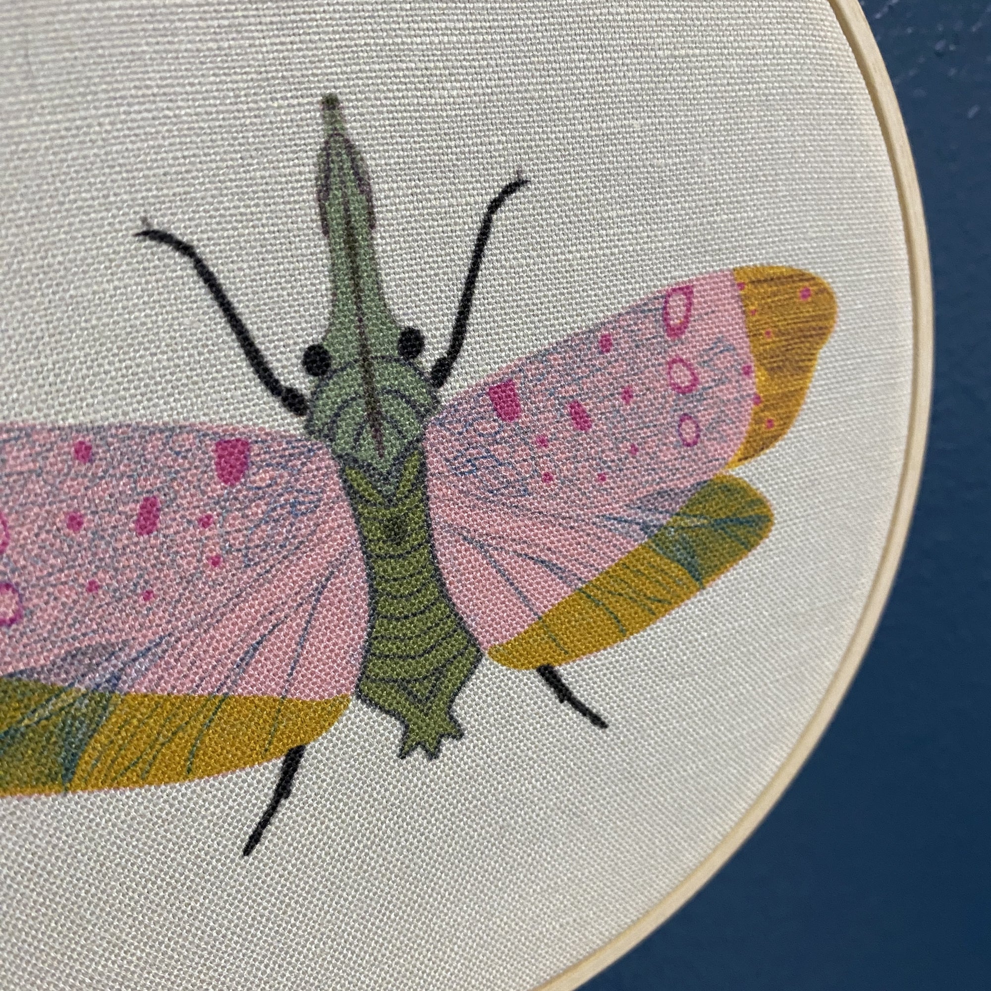 EMBROIDERY CLASS: Embellishing a Moth