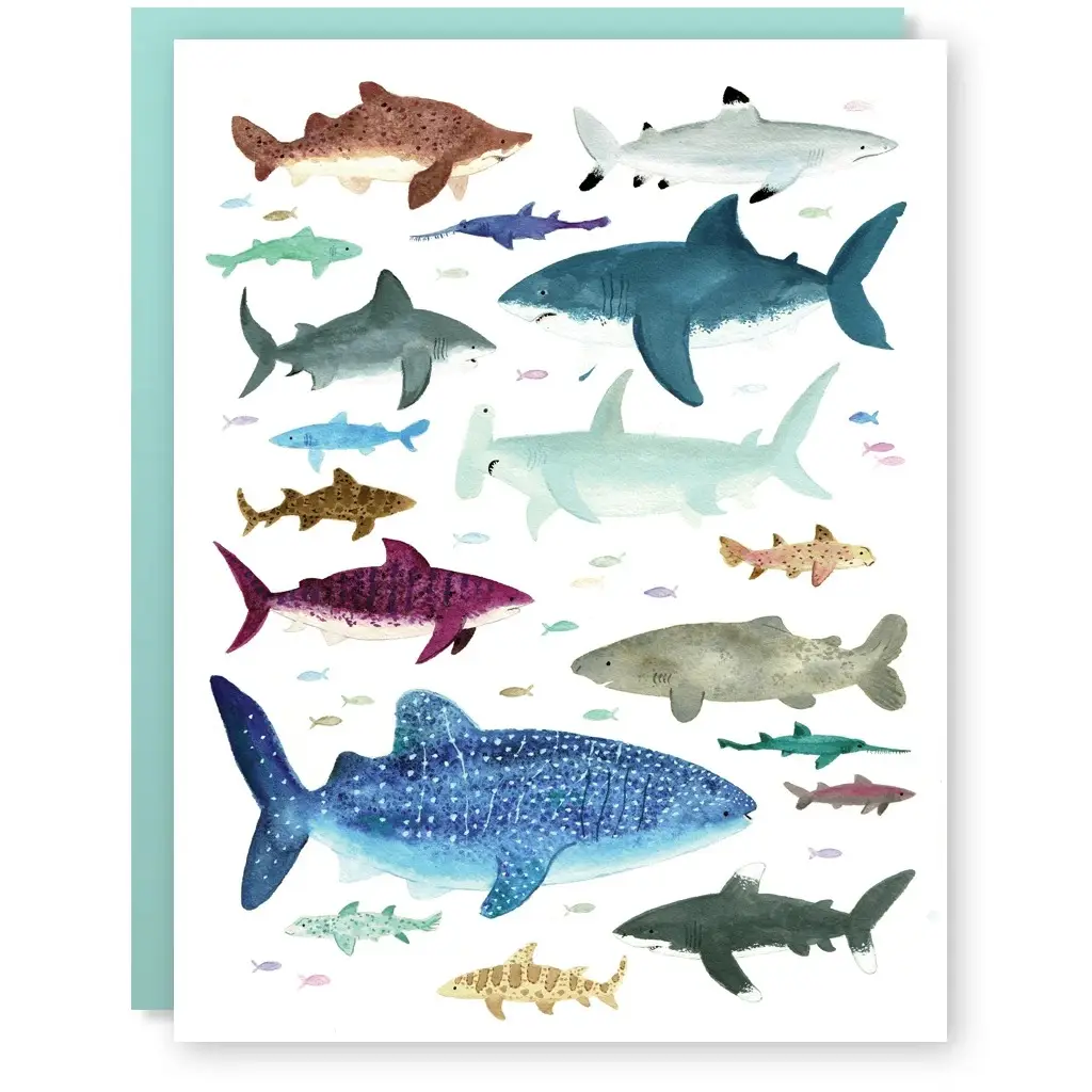 Card - Shark Shiver