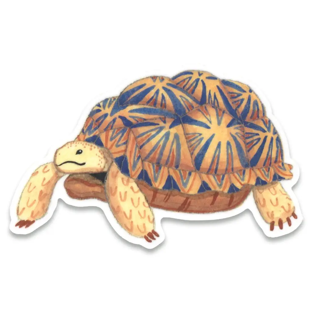 Sticker - Tortoise