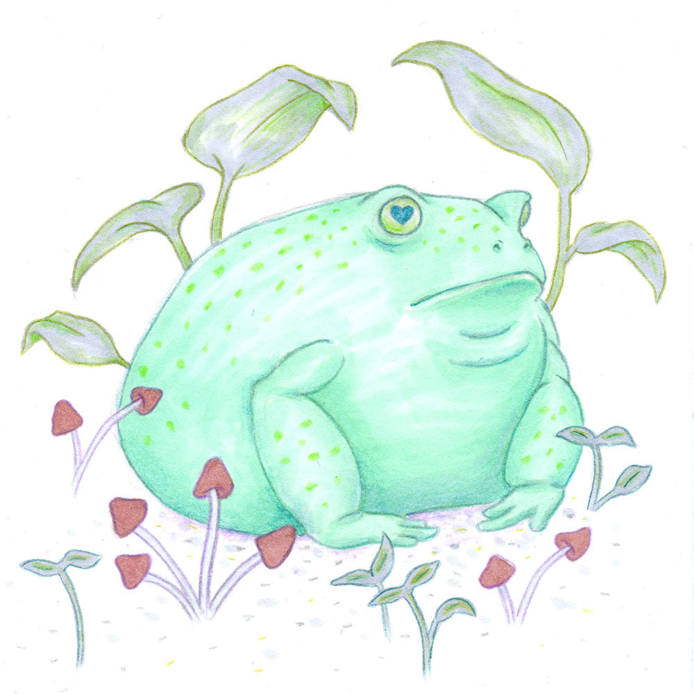 Original Art - Round Toad