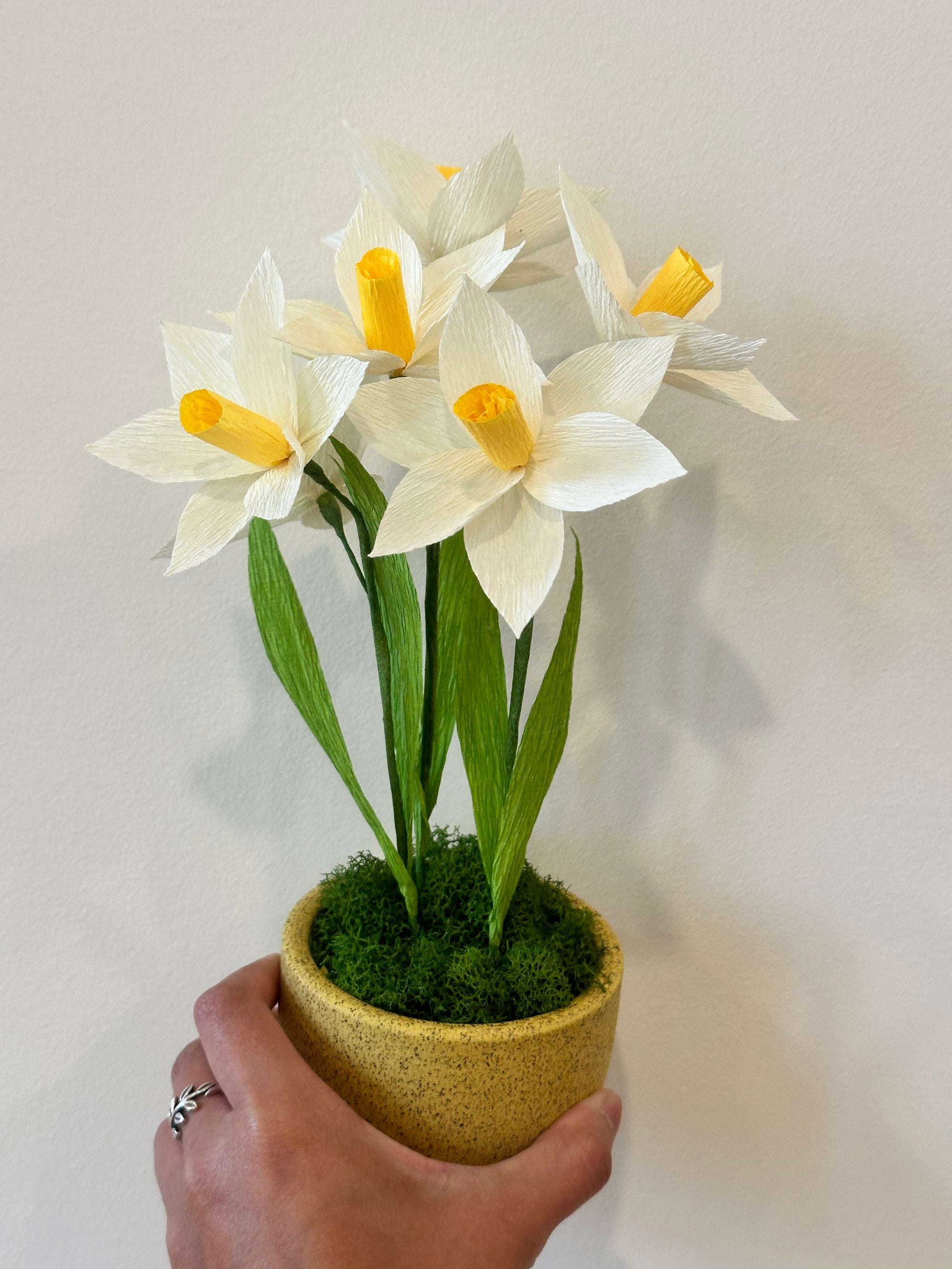 PAPER CLASS: Daffodil Potted Plant