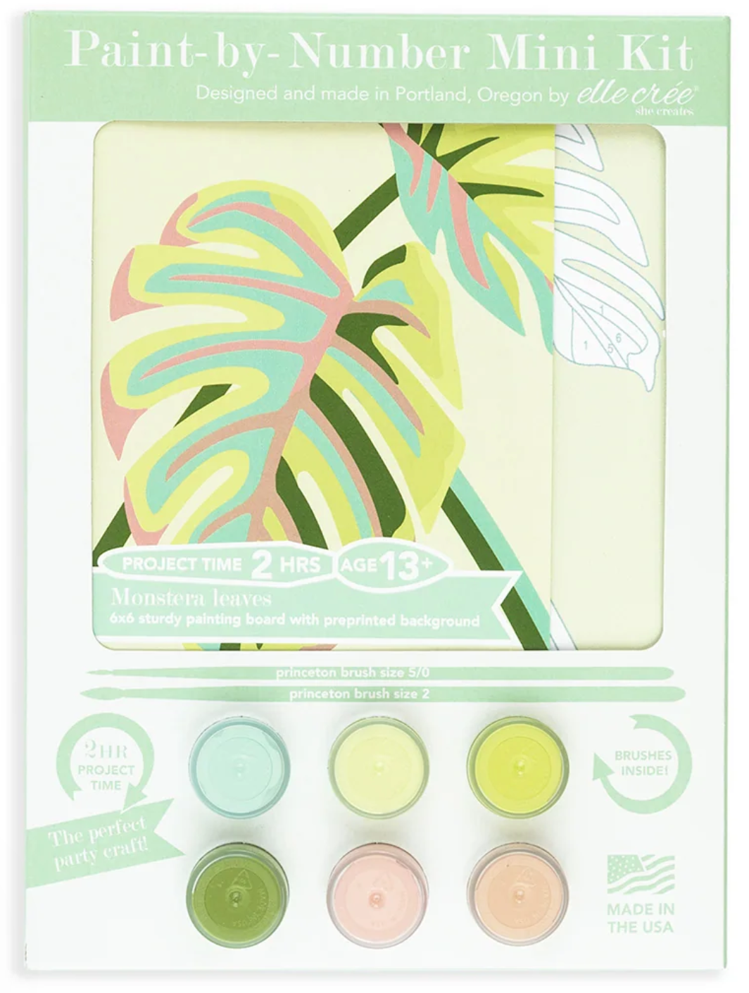 DIY - KIDS MINI Paint By Number Kit - Monstera Leaves