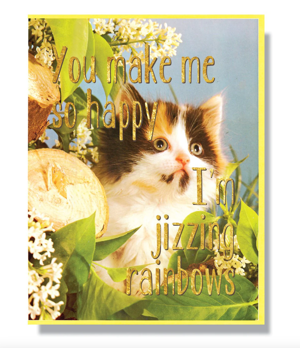 Card - You Make Me So Happy I&#39;m Jizzing Rainbows