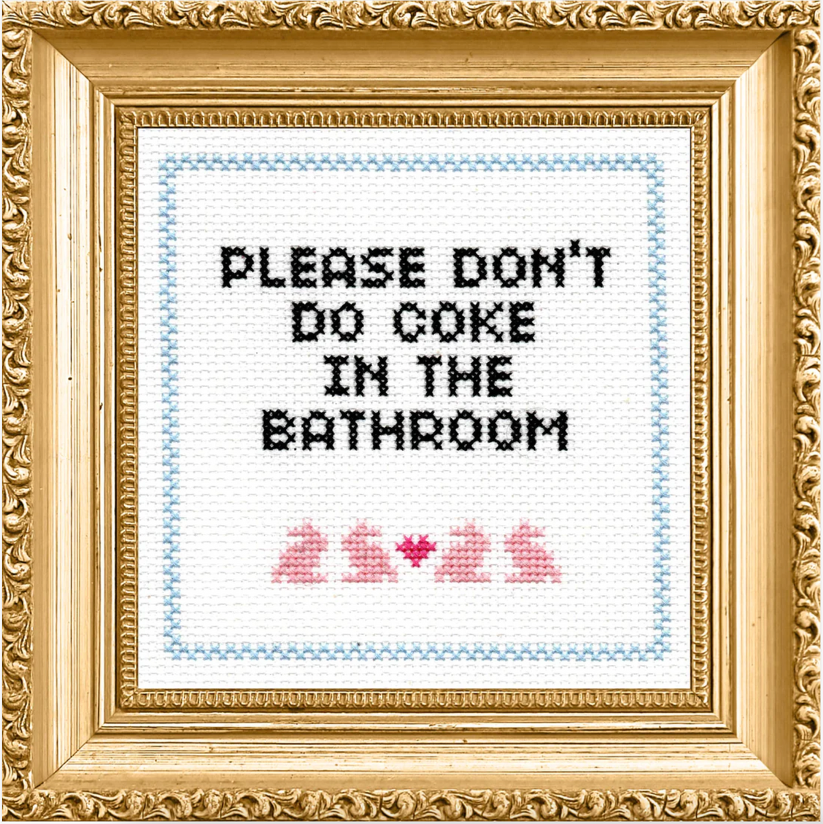 Cross Stitch Kit: Please Don&#39;t Do Coke In The Bathroom