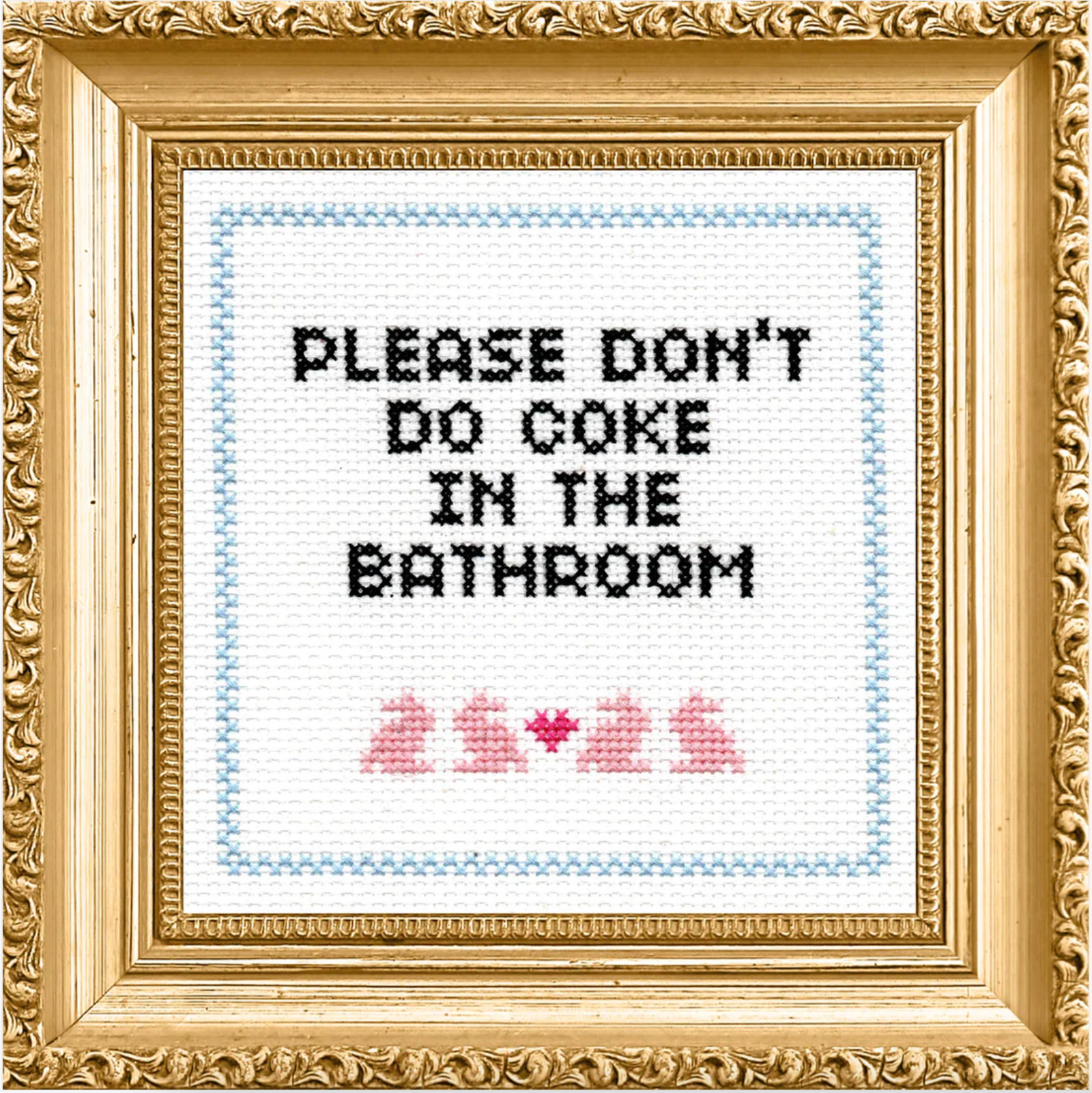 Cross Stitch Kit: Please Don't Do Coke In The Bathroom