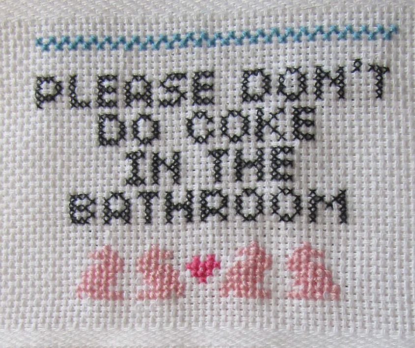 Cross Stitch Kit: Please Don't Do Coke In The Bathroom