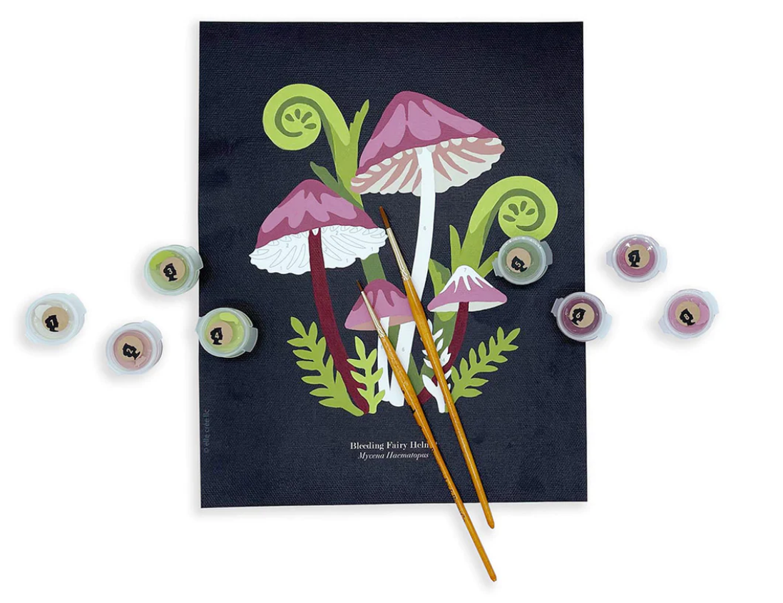 DIY - Paint By Number Kit - Bleeding Fairy Helmet Mushrooms