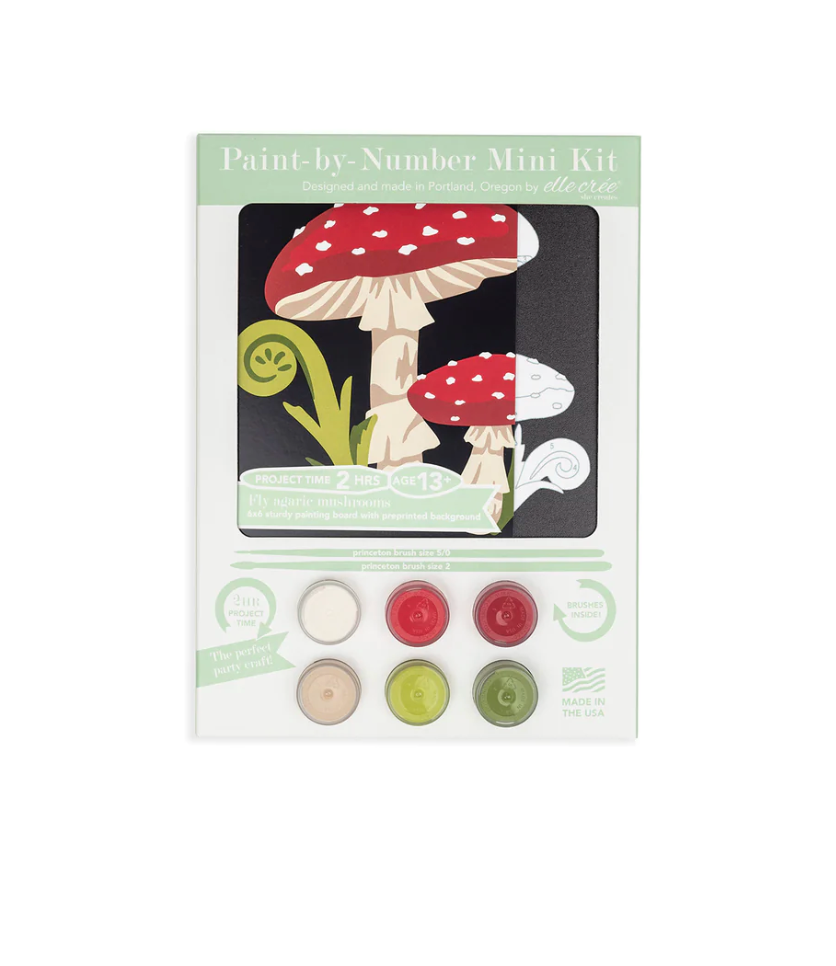 DIY - MINI Paint By Number Kit - Fly Agaric