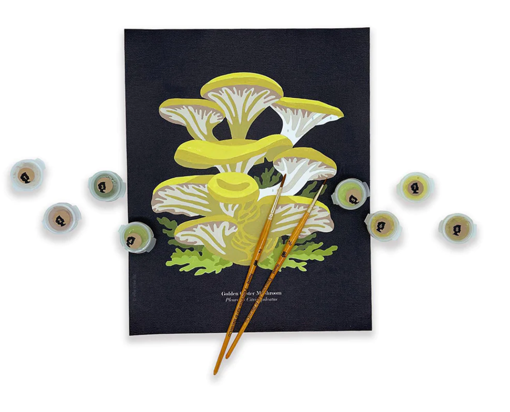 DIY - Paint By Number Kit - Golden Oyster Mushrooms