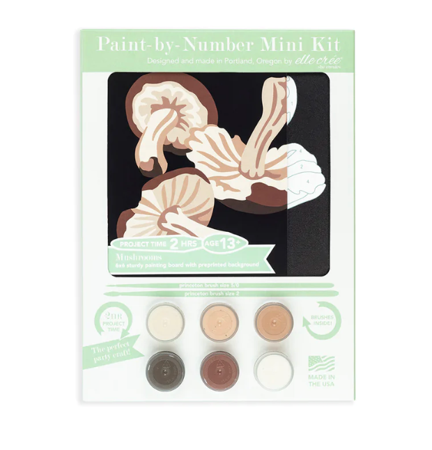 DIY - MINI Paint By Number Kit - Mushrooms