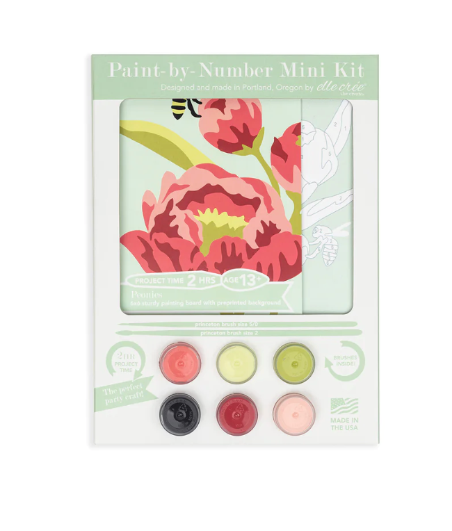 DIY - MINI Paint By Number Kit - Peonies