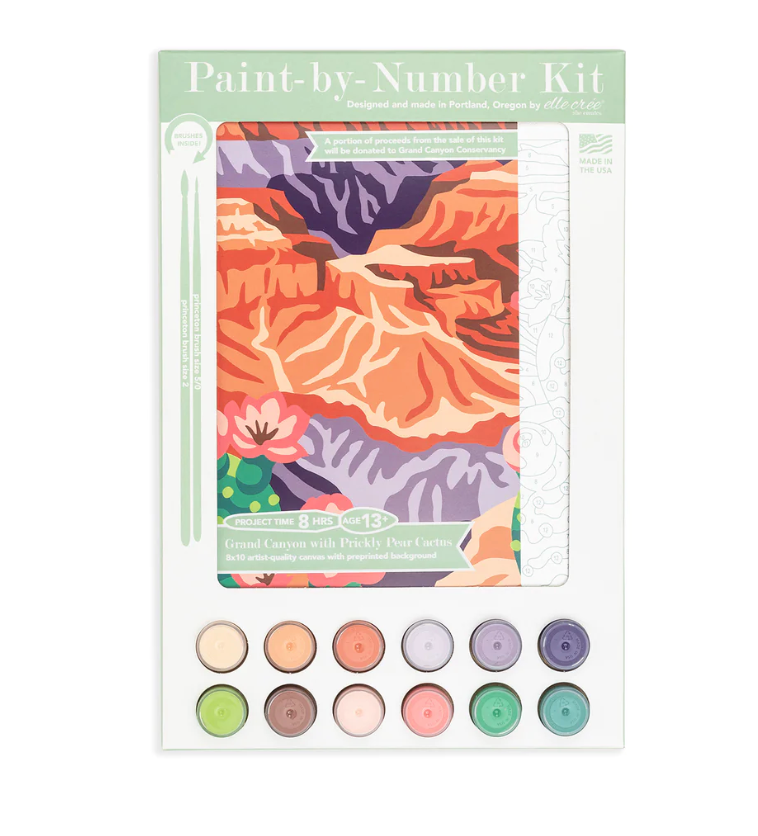 DIY - Paint By Number Kit - Grand Canyon with Prickly Pear Cactus