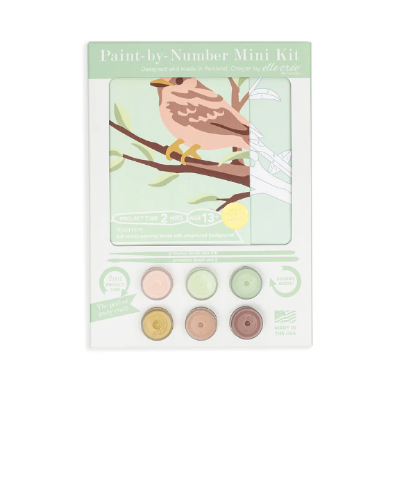 DIY - MINI Paint By Number Kit - Sparrow