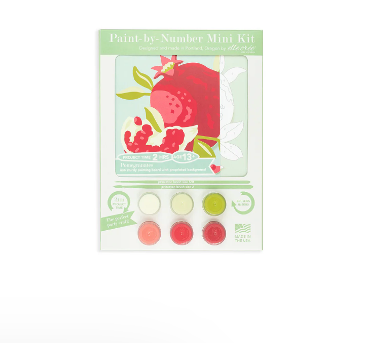 DIY - MINI Paint By Number Kit - Pomegranates