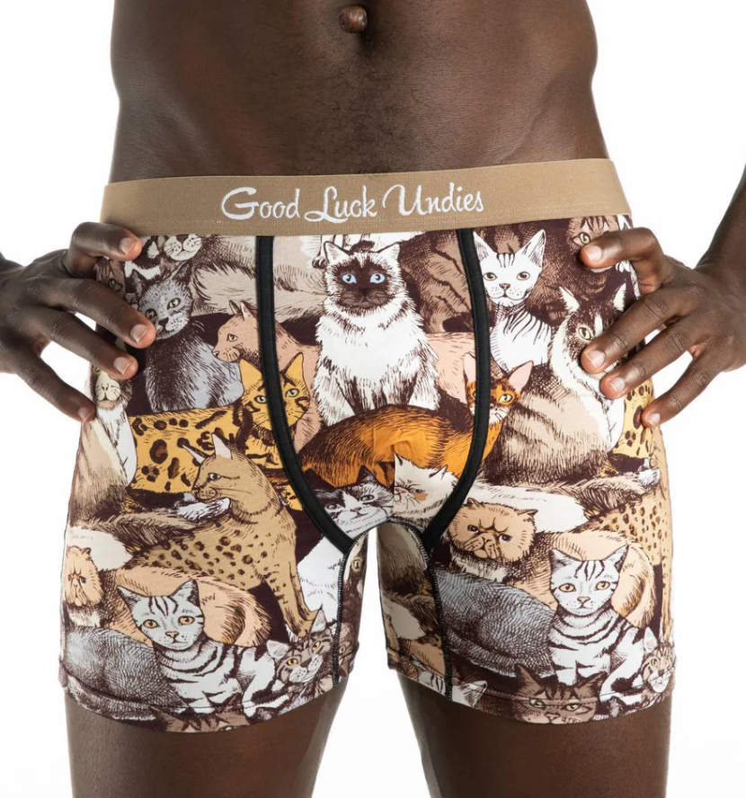 Underwear / Boxers - Social Cats