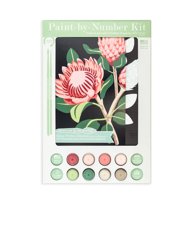 DIY - Paint By Number Kit - King Protea Blooms