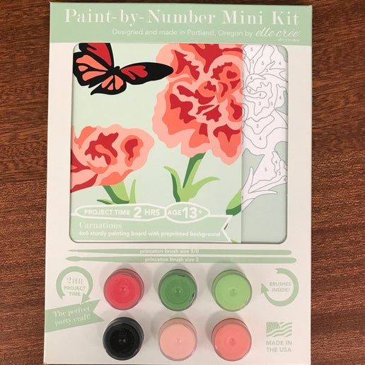 DIY - MINI Paint By Number Kit - Carnations