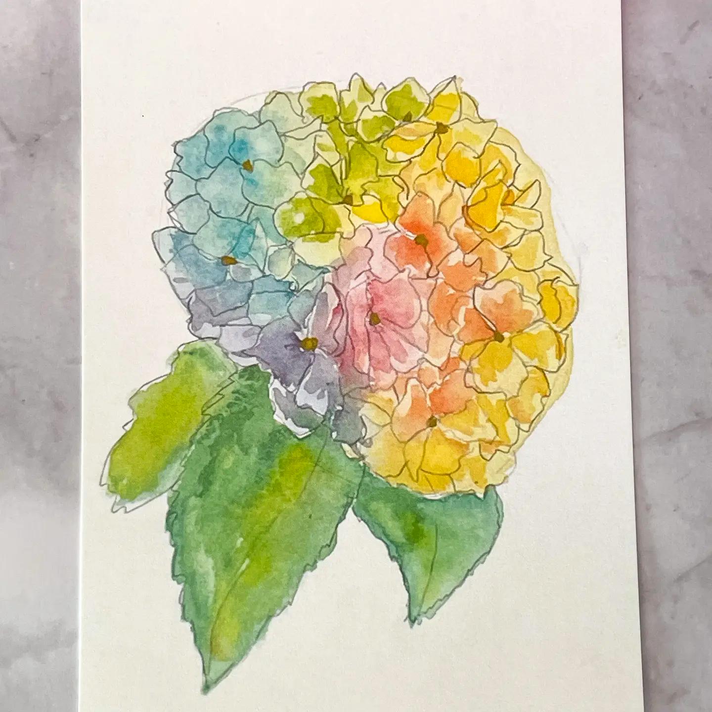 Card - Rainbow Hydrangea