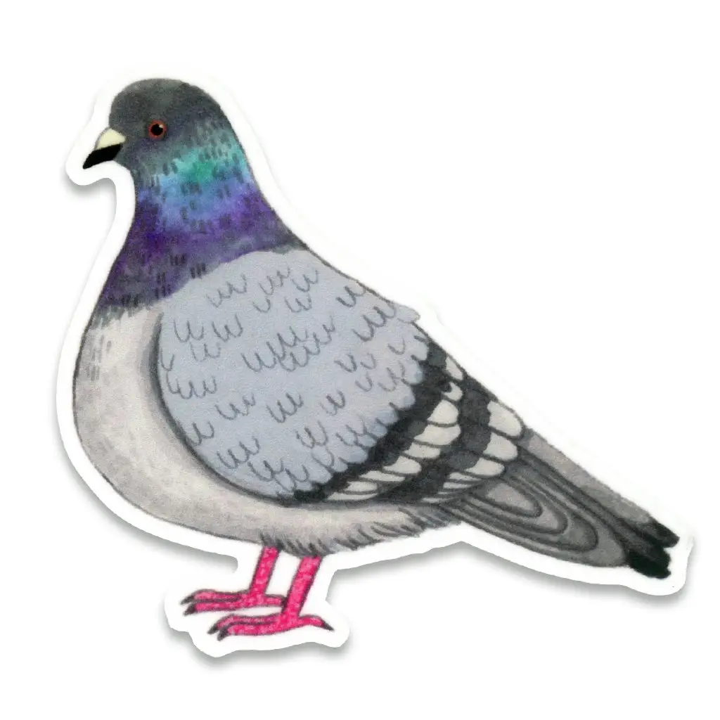 Sticker - Pigeon