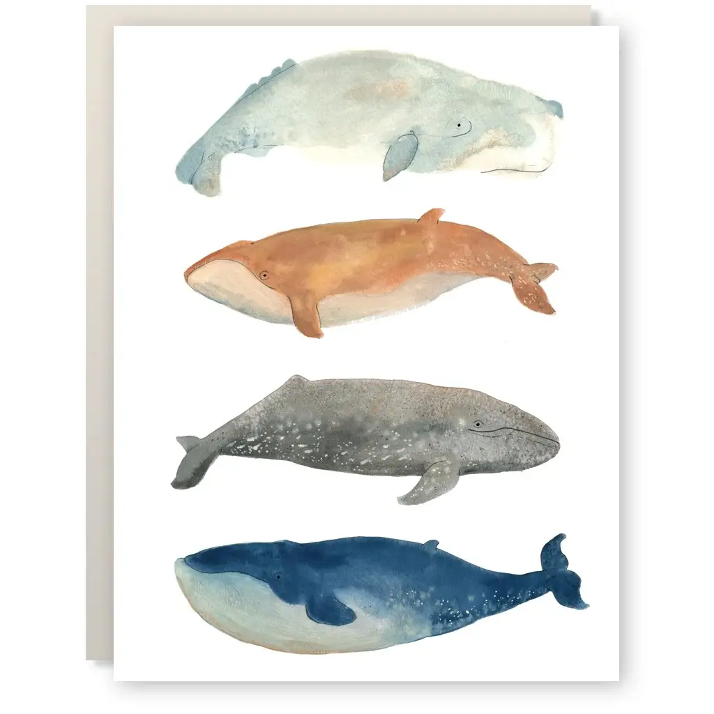 Card - Whale Gang