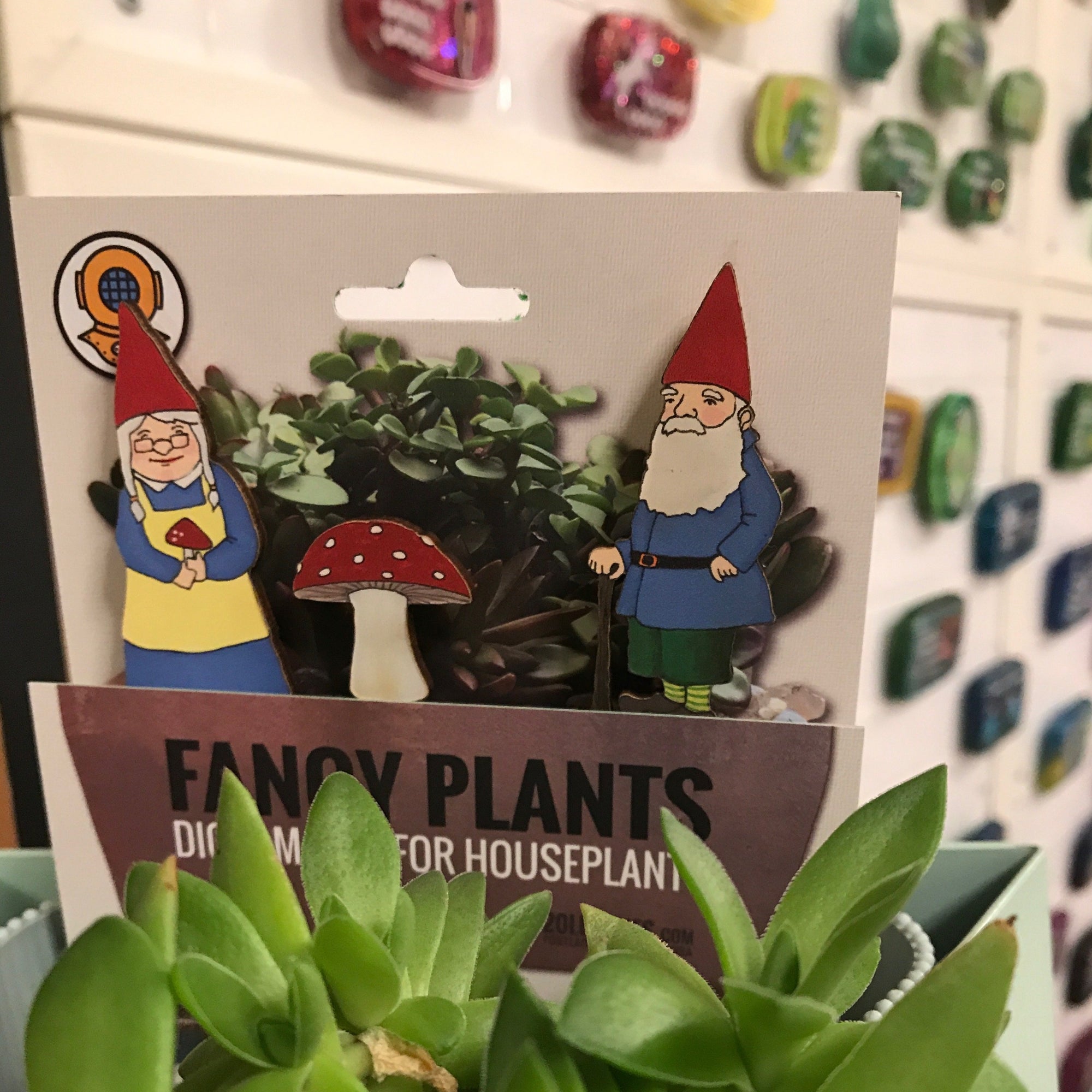 Fancy Plants - Gnomes