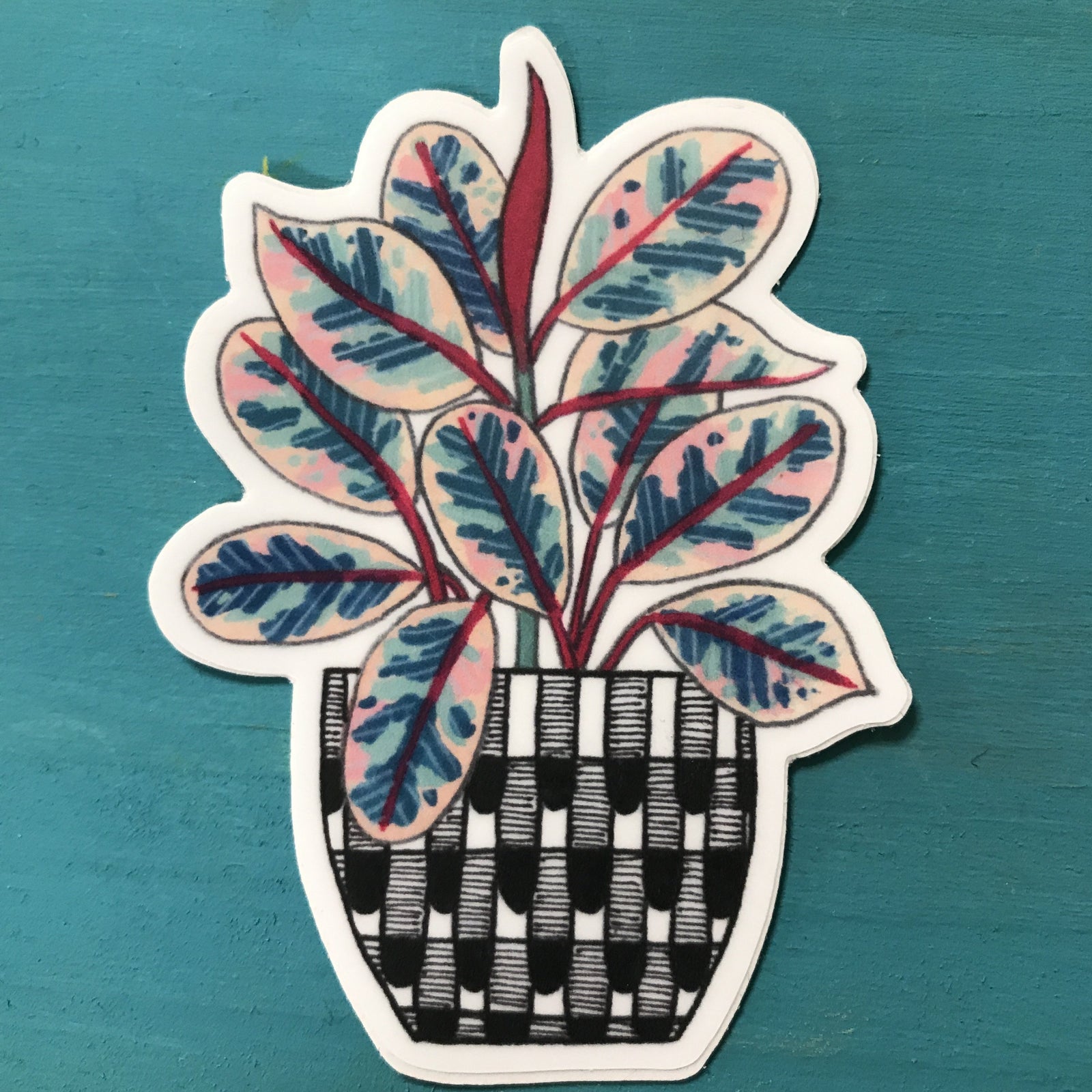 Sticker - Ruby Rubber Plant