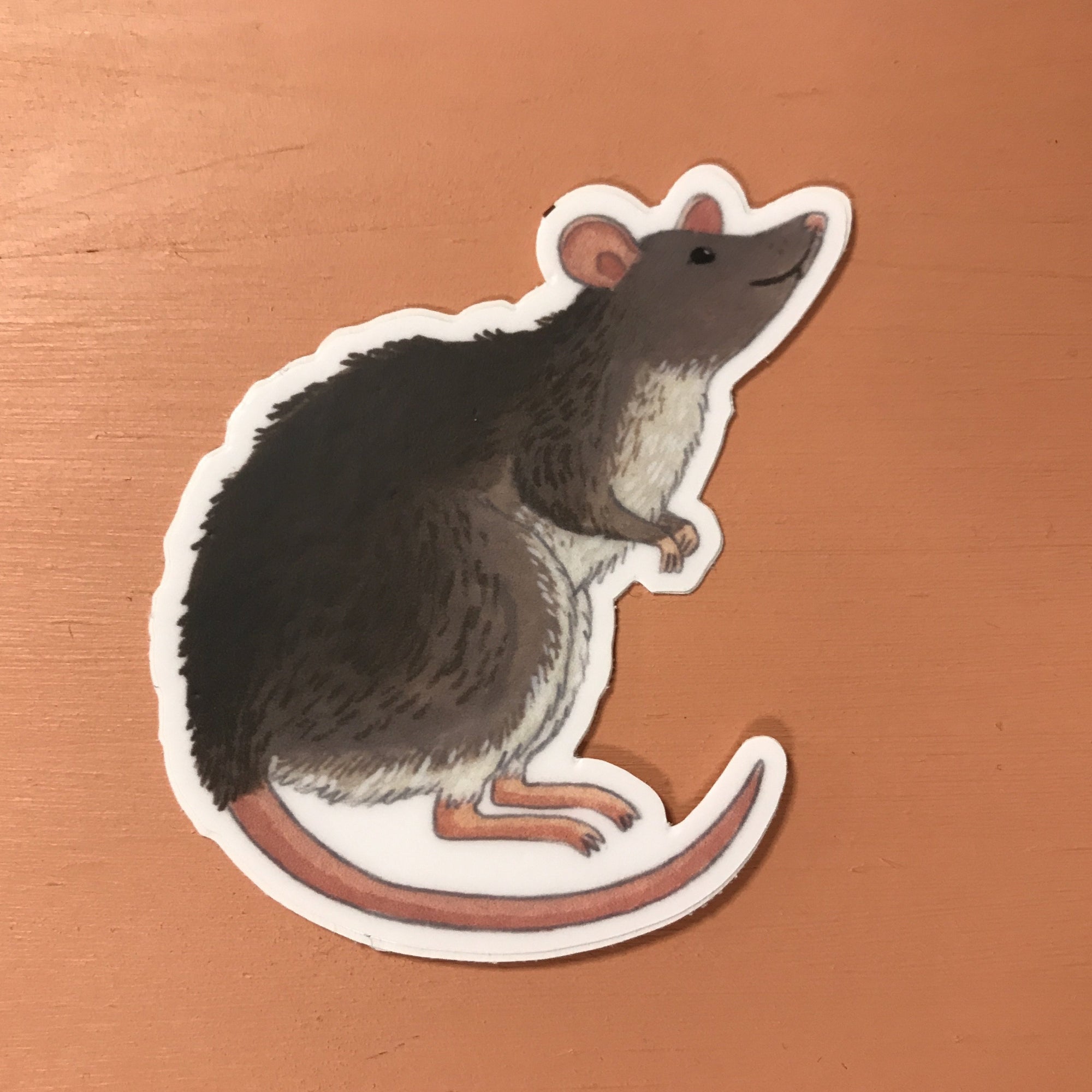Sticker - Rat
