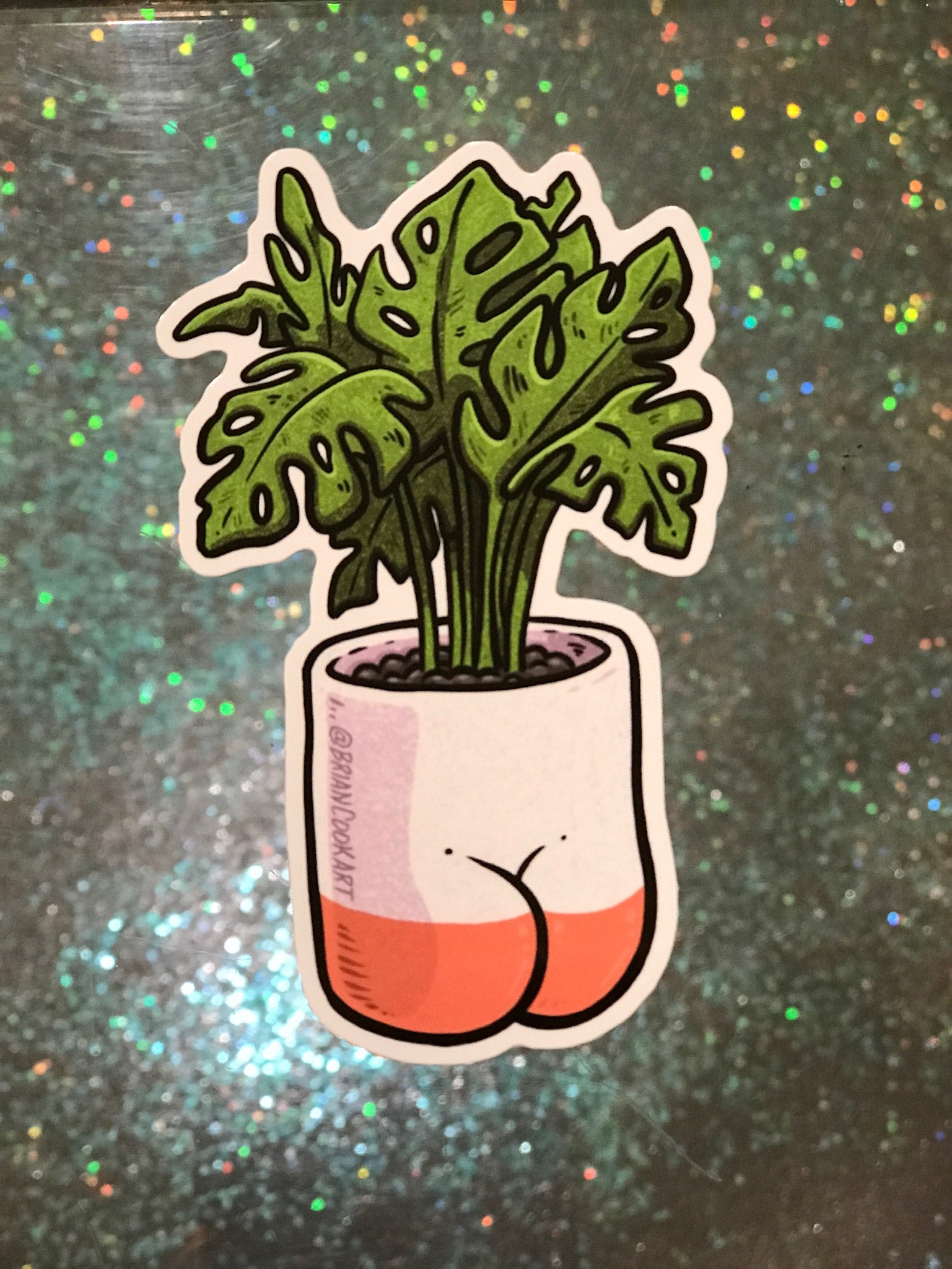 Sticker - Monstera Plant