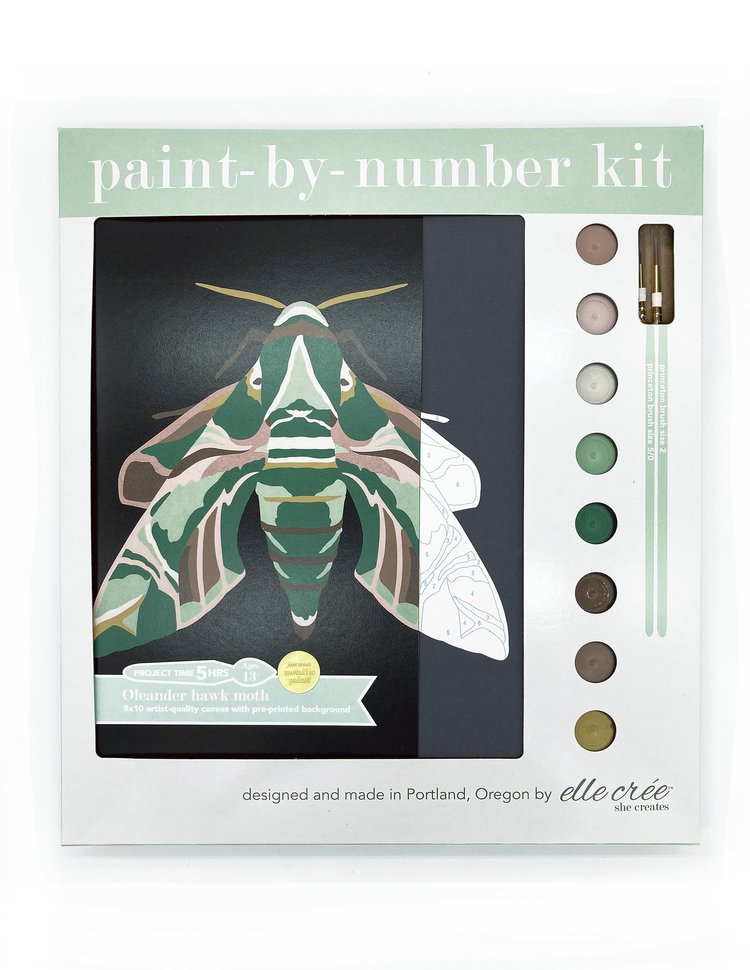 DIY - Paint By Number Kit - Oleander Hawk Moth