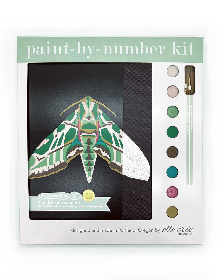 DIY - Paint By Number Kit - Banded Sphinx Moth