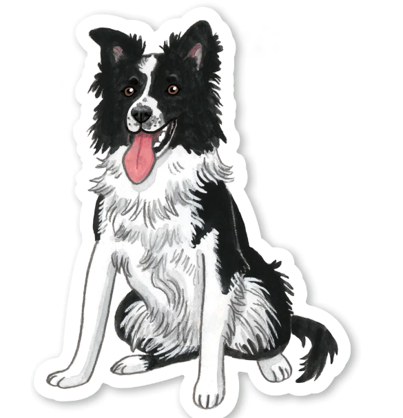 Watercolor illustration of a border collie. It's a sticker with a white outline and it's standing up against a white background.