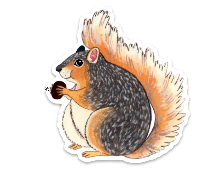 Sticker - Squirrel
