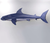 Paper Craft - Hammerhead Shark