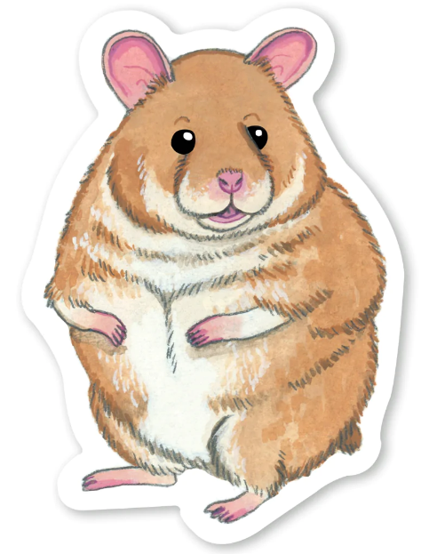 Sticker with watercolor illustration of a chubby hamster on it. The background is white.
