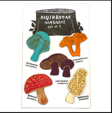 Magnet Set - Mushrooms