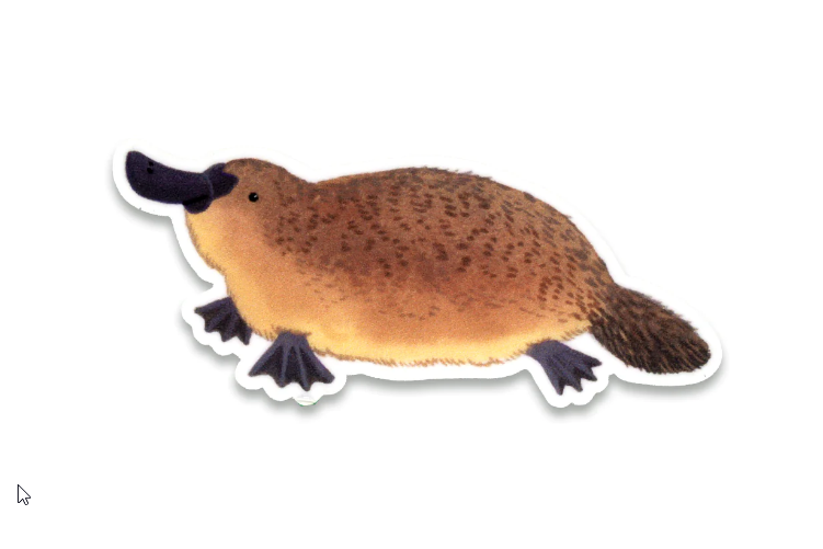Sticker - Platypus
