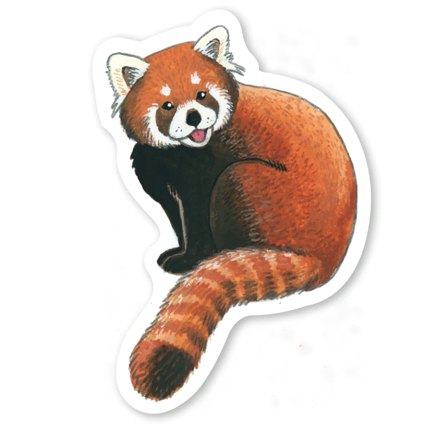 Sticker - Red Panda
