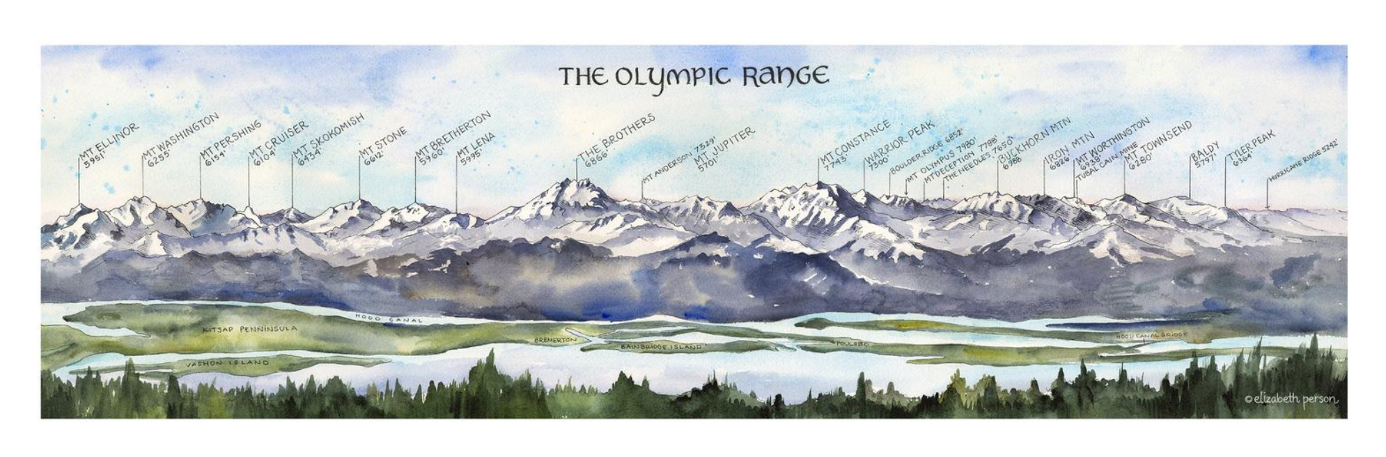 Board Mounted - 5x15 Olympic Range