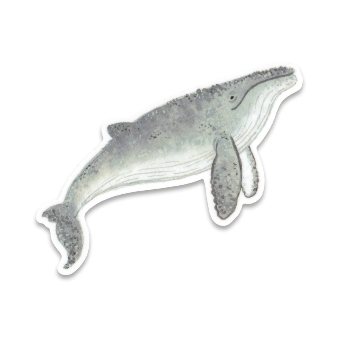 Sticker - Humpback Whale