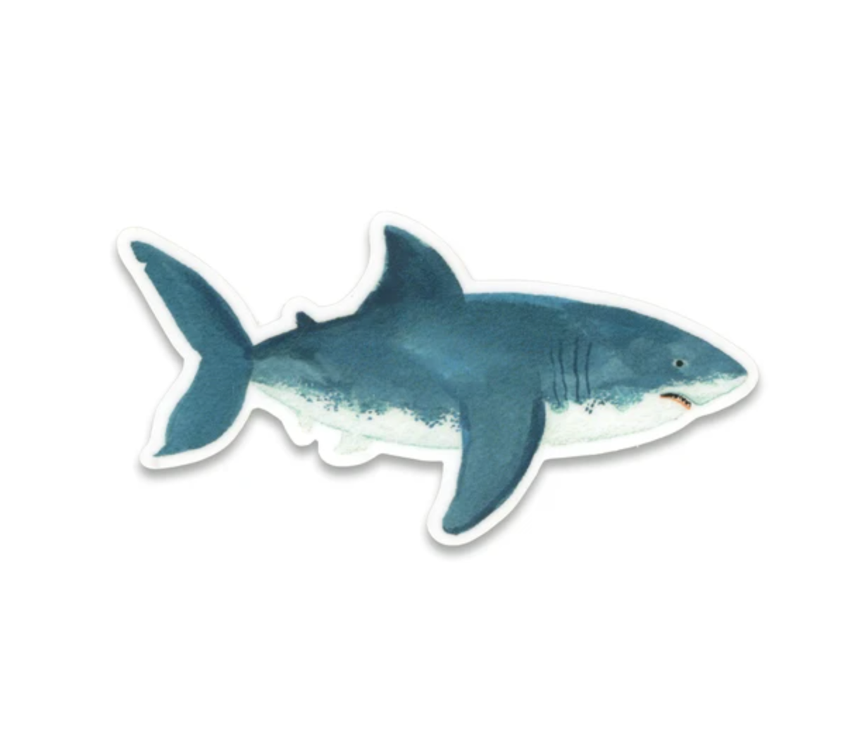 Sticker - Shark