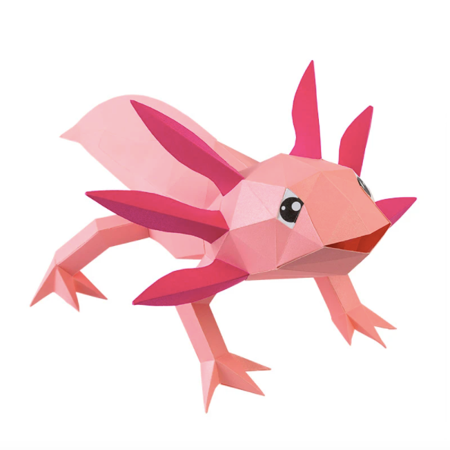 Paper Craft - Axolotl