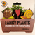Fancy Plants - Snail Love