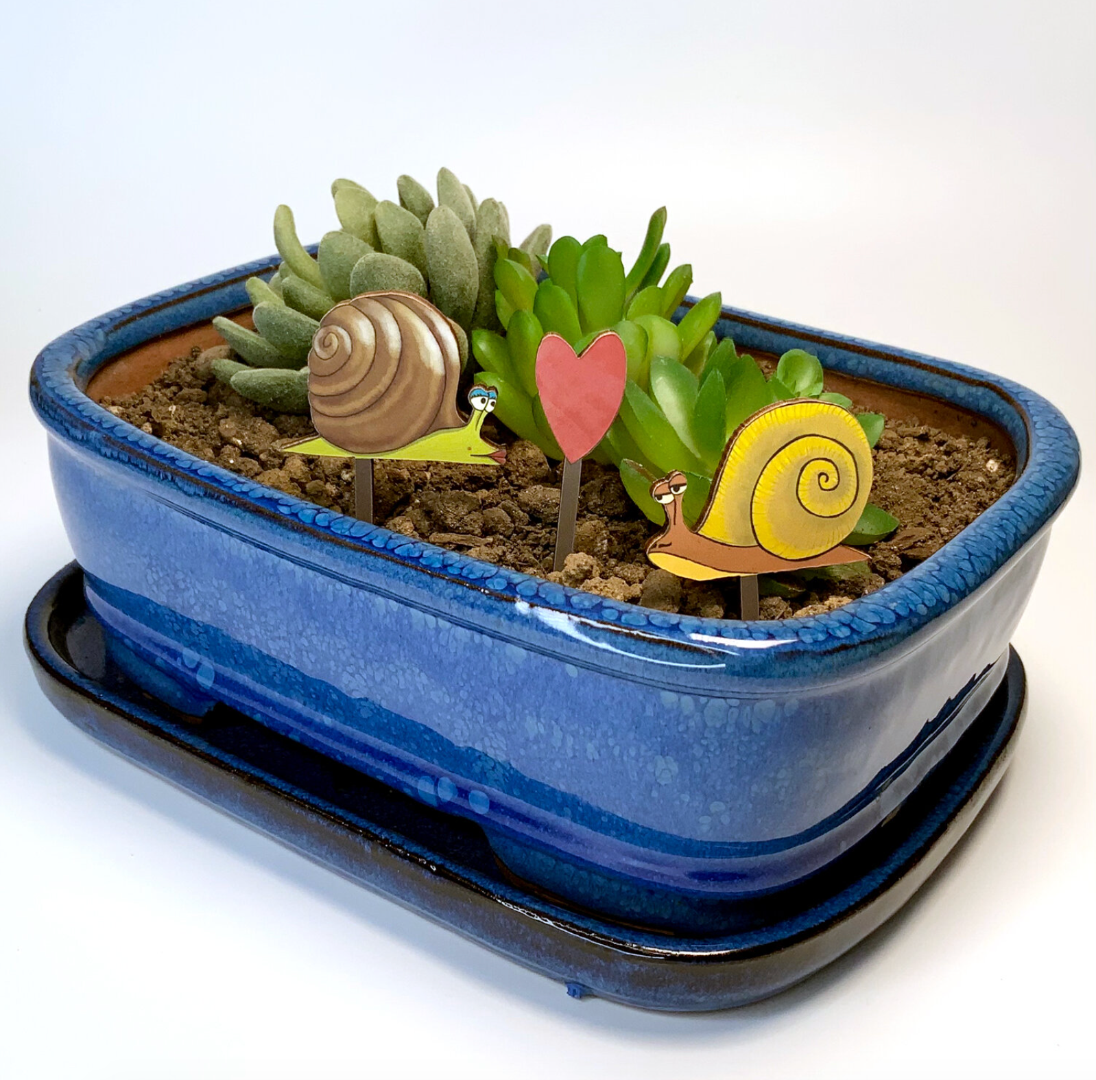 Fancy Plants - Snail Love