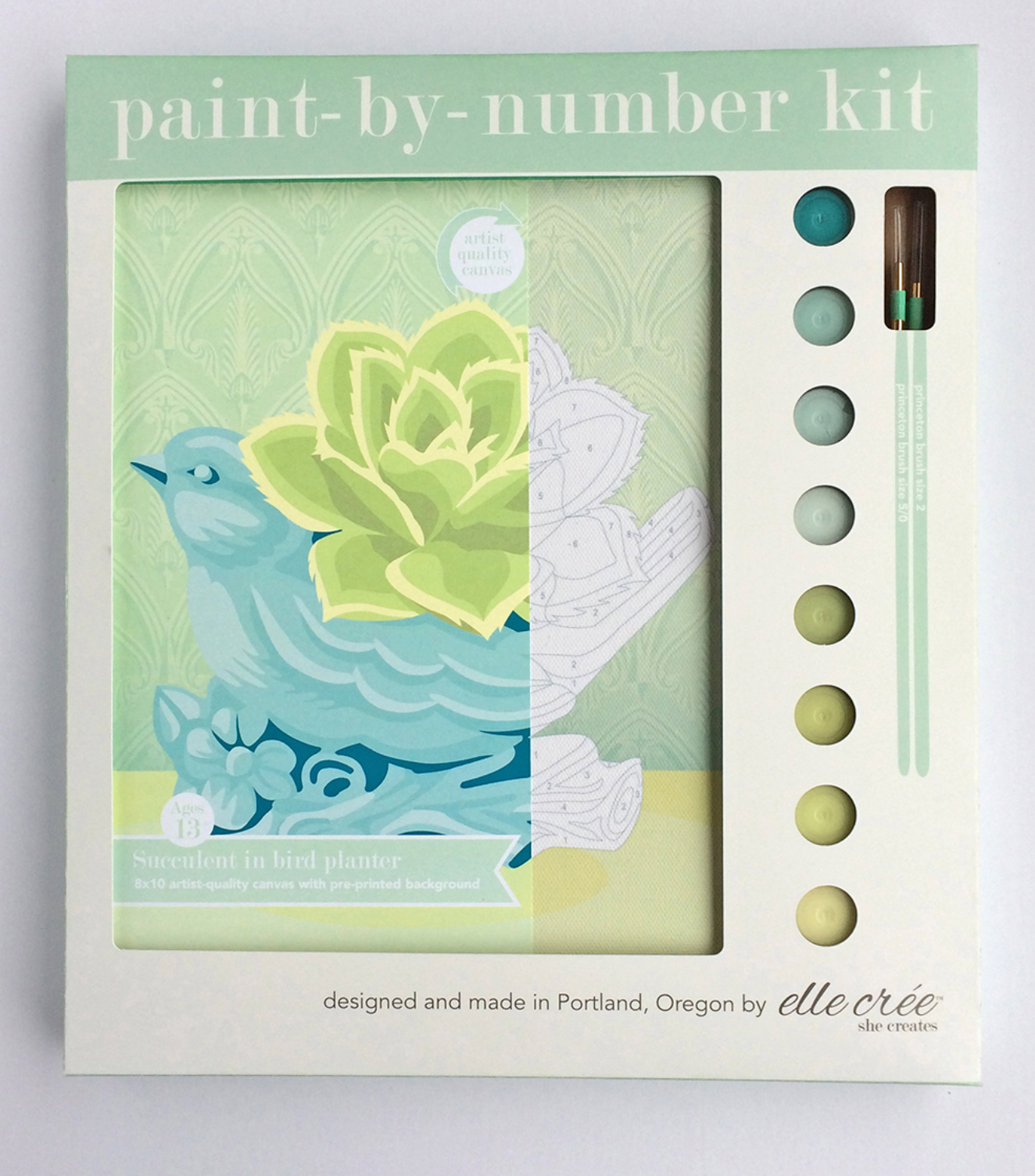 DIY - Paint By Number Kit - Succulent in Bird Planter
