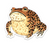 Sticker - Grouchy Toad