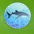 Sticker - Whale Shark
