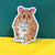 Sticker with watercolor illustration of a chubby hamster on it. The background is yellow and aqua. 