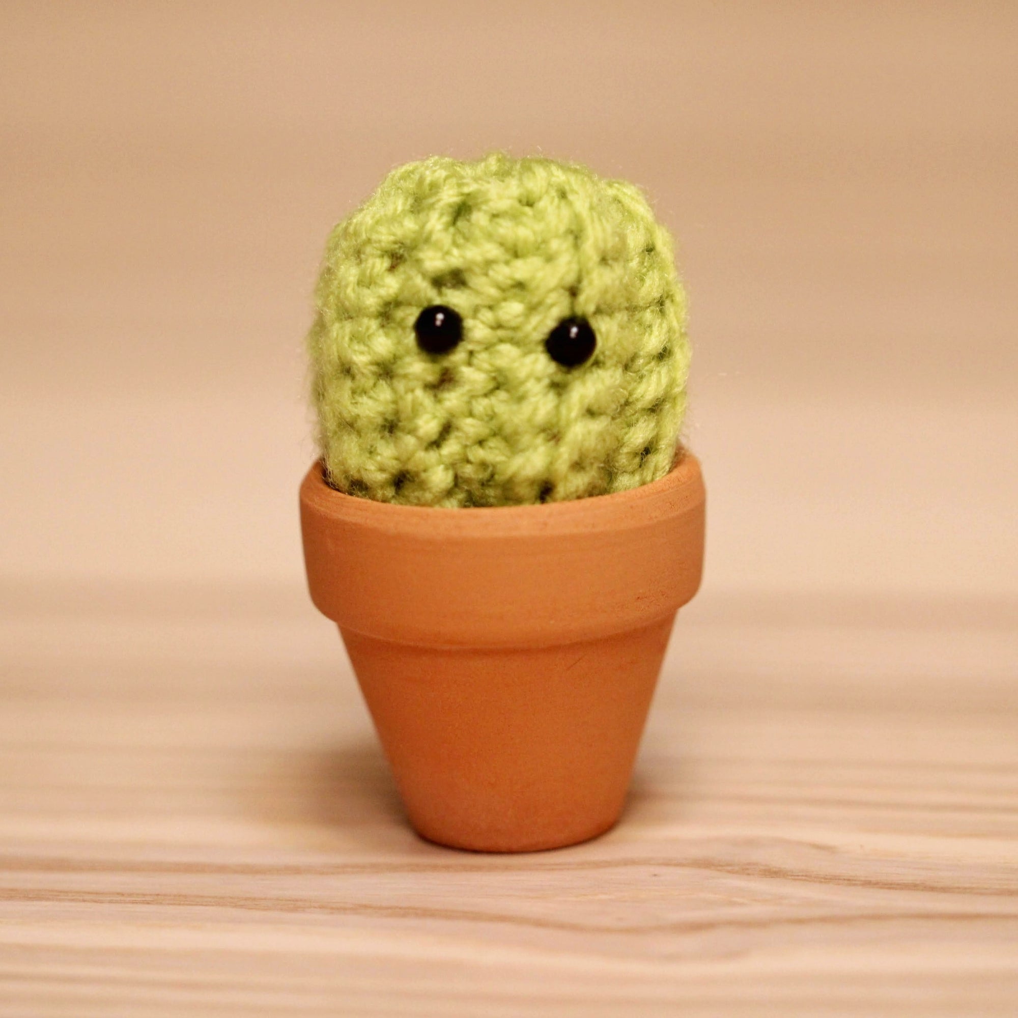 CROCHET CLASS: Amigurumi - Crochet a Mini Cactus