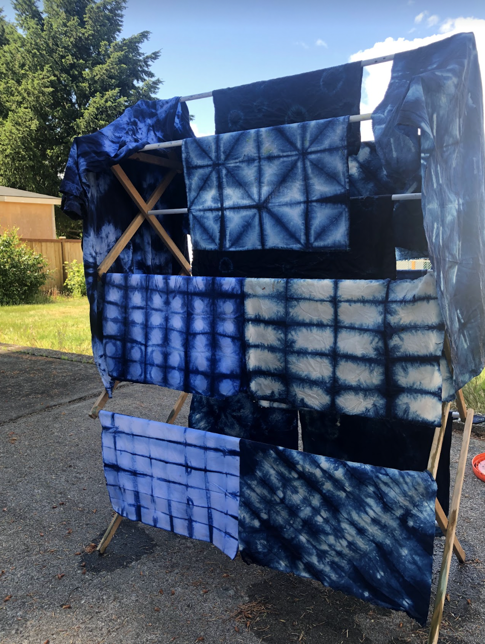 DYEING CLASS: Indigo Dye - Monster