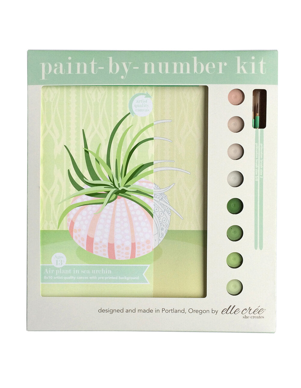 DIY - Paint By Number Kit - Air Plant with Sea Urchin